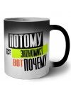 потому что экономист вот почему