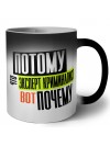 потому что эксперт криминалист вот почему