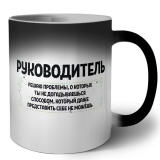 руководитель решаю проблемы, о которых ты не догадываешься способом, который даже представить себе не можешь