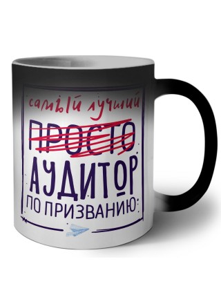 Самый лучший просто АУДИТОР по призванию