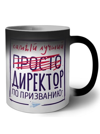 Самый лучший просто ДИРЕКТОР по призванию