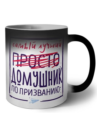 Самый лучший просто ДОМУШНИК по призванию