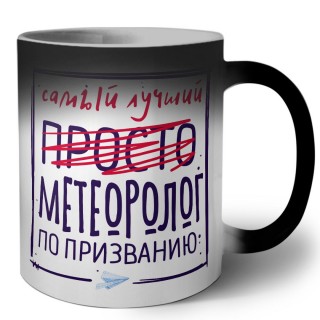 Самый лучший просто МЕТЕОРОЛОГ по призванию