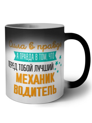 Сила в правде а правда в том, что перед тобой лучший механик водитель