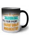 Сила в правде а правда в том, что перед тобой лучший налоговый инспектор