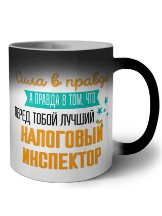 Сила в правде а правда в том, что перед тобой лучший налоговый инспектор