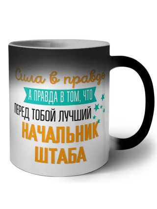Сила в правде а правда в том, что перед тобой лучший начальник штаба