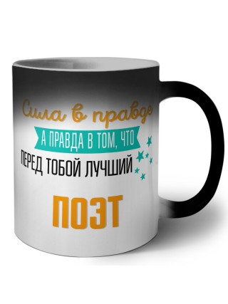 Сила в правде а правда в том, что перед тобой лучший поэт