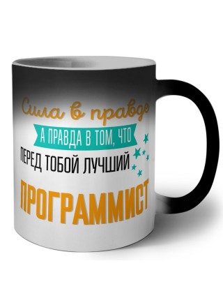 Сила в правде а правда в том, что перед тобой лучший программист