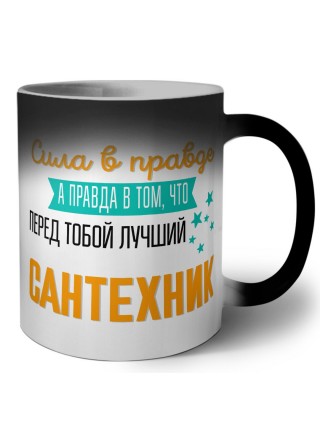 Сила в правде а правда в том, что перед тобой лучший сантехник