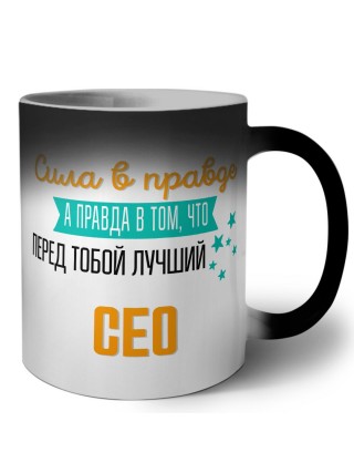 Сила в правде а правда в том, что перед тобой лучший сео