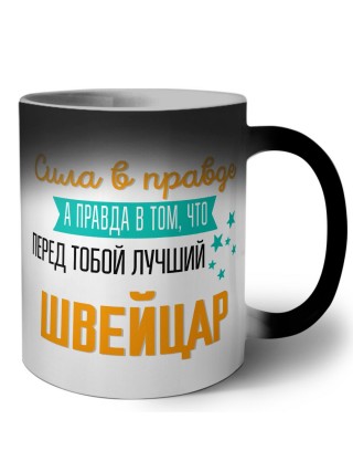 Сила в правде а правда в том, что перед тобой лучший швейцар