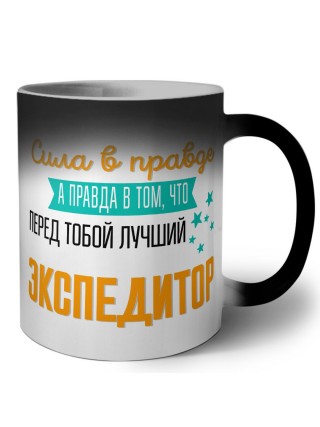 Сила в правде а правда в том, что перед тобой лучший экспедитор