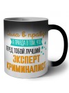 Сила в правде а правда в том, что перед тобой лучший эксперт криминалист