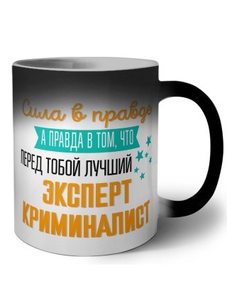 Сила в правде а правда в том, что перед тобой лучший эксперт криминалист