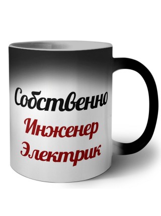 Собственно, Инженер Электрик