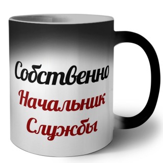 Собственно, Начальник Службы