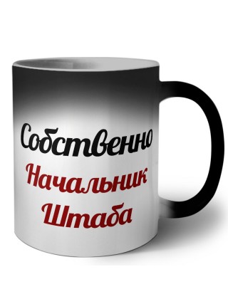 Собственно, Начальник Штаба