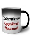 Собственно, Судебный Пристав