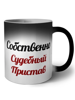 Собственно, Судебный Пристав