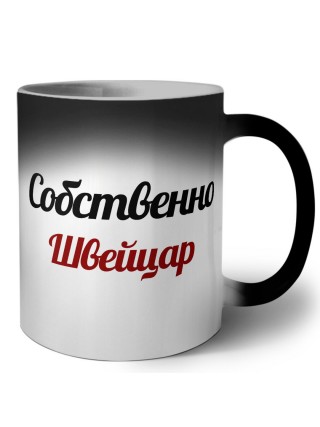Собственно, Швейцар