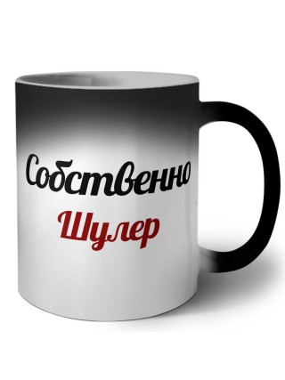 Собственно, Шулер