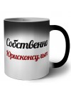 Собственно, Юрисконсульт