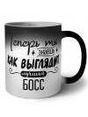 Теперь ты знаешь как выглядит лучший босс