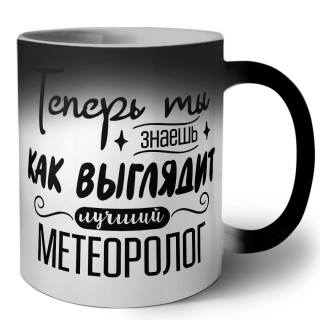 Теперь ты знаешь как выглядит лучший метеоролог