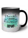 Тишина здесь работает овчар