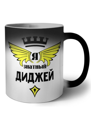 Я знатный диджей