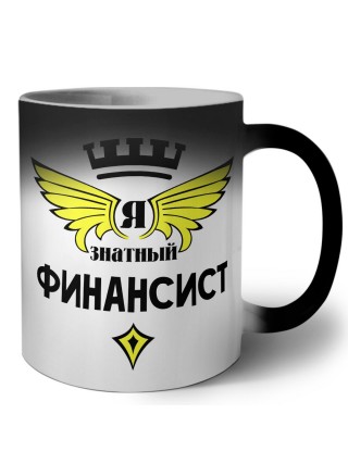 Я знатный финансист