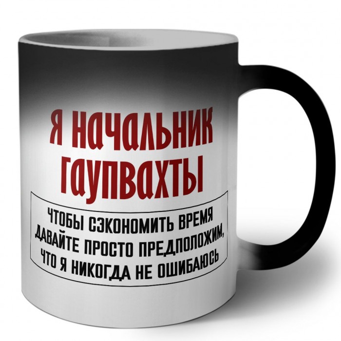 я начальник гаупвахты чтобы сэкономить время давайте просто предположим, что я никогда не ошибаюсь