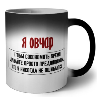 я овчар чтобы сэкономить время давайте просто предположим, что я никогда не ошибаюсь