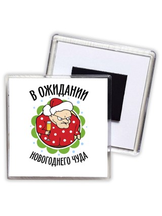в ожидании новогоднего чуда