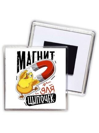 магнит для цыпочек