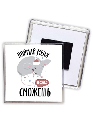 поймай меня если сможешь