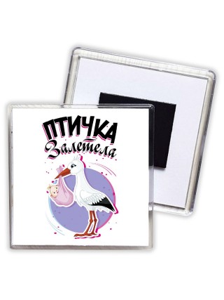 птичка залетела