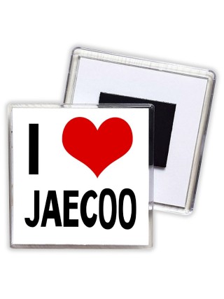I love Jaecoo