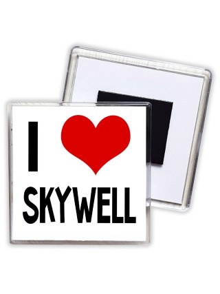 I love Skywell