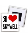 Я люблю Skywell