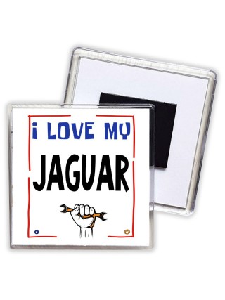 I love my Jaguar