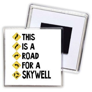 This is a road for a Skywell