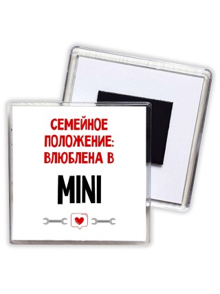 Семейное пололжение - влюблена в Mini