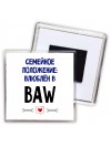 семейной пололжение - влюблен в BAW