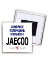 семейной пололжение - влюблен в Jaecoo