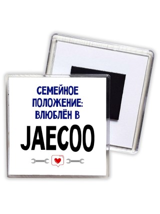 семейной пололжение - влюблен в Jaecoo