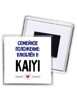 семейной пололжение - влюблен в Kaiyi