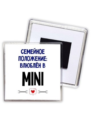семейной пололжение - влюблен в Mini