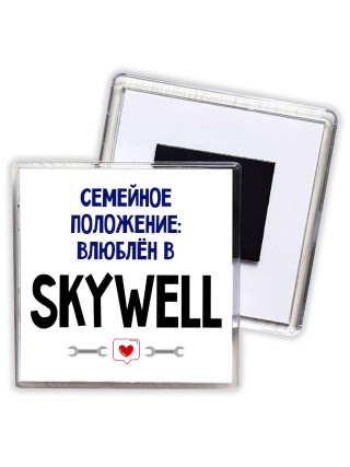 семейной пололжение - влюблен в Skywell